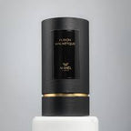 Fusion Magnetic Maison Manël