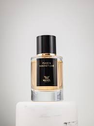 Fusion Magnetic Maison Manël